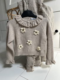 Trui beige bloem