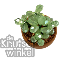 Add on | Supplement voor vetplant