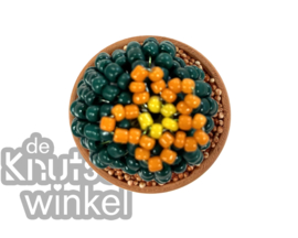 Add on | Supplement voor cactus donker
