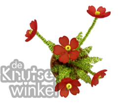 Add on | Supplement voor plant met rode bloemen