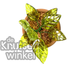 Add on | Supplement voor kamerplant