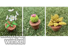Workshop algemeen - Kralenplantjes / Beaded Plants - €35,00