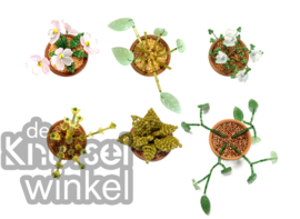 DHZ-pakket kralenplantjes - serie basis - 6 stuks