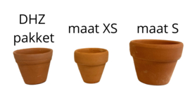 Mini terracotta plantenpotjes - 3 cm (XS) - set van 10 stuks