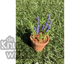 Add on | Supplement voor lavendel