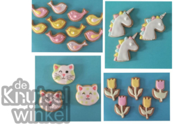 Workshop Crazy Cookies uitgebreid - 3,5 / 4 uur - €42,50