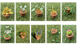 DHZ-pakket kralenplantjes - serie uitgebreid - 10 stuks