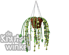 DHZ-pakket hangplantje fantasie - 1 stuk