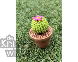 Add on | Supplement voor cactus licht