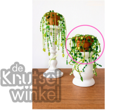 DHZ-pakket medium kralenplant M2 - LIMITED EDITION