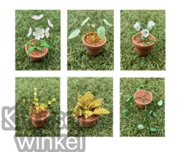 Kralenplantjes 