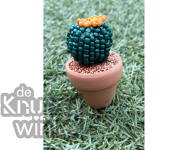 Add on | Supplement voor cactus donker