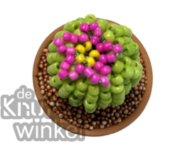 Add on | Supplement voor cactus licht