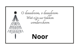Oh denneboom | 10 stuks