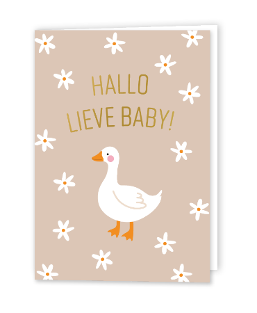 Lieve baby | gevouwen kaart