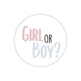 Girl or Boy? | 5 stuks