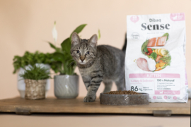 Didaq Sense Grainfree kitten 2.5 kg