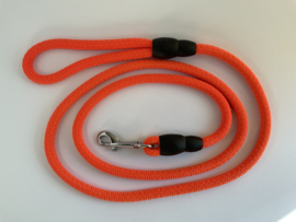 Hondenriem oranje