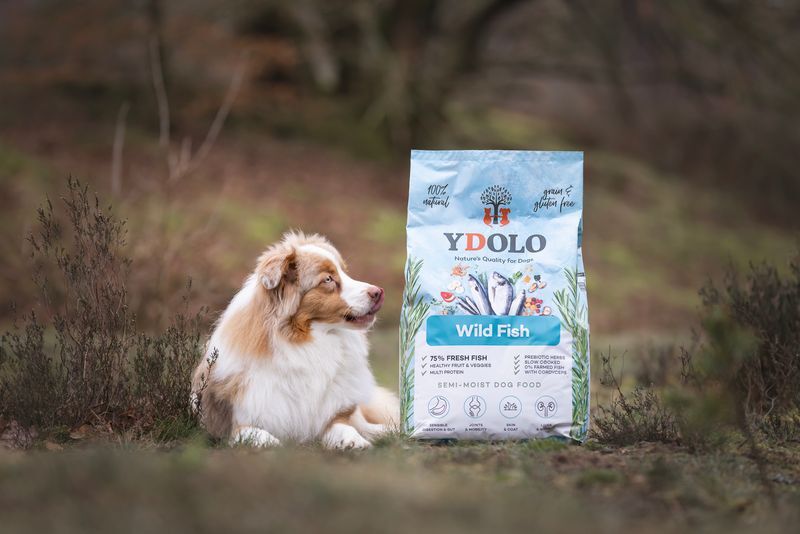 YDOLO SEMI MOIST