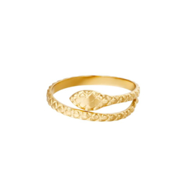 Ring snake goud