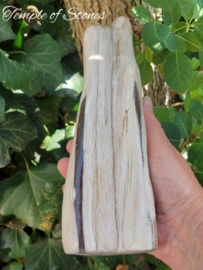 Versteend hout Indonesië