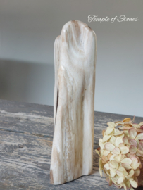 Versteend hout Indonesië