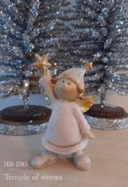 Engel Rose ster in hand