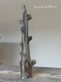 Versteend hout Indonesië