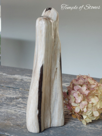 Versteend hout Indonesië
