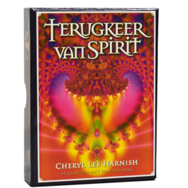 Terugkeer van Spirit