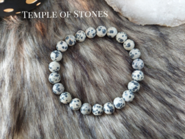 Dalmatie jaspis armband 8mm