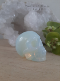 Schedel Opalite