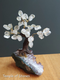 Bergkristal / Amethist Boom