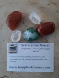 Waterelixer nieren