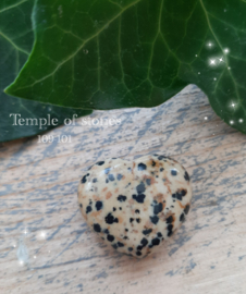 Dalmatier Jaspis Hart