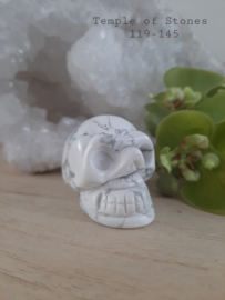 Schedel Howlite