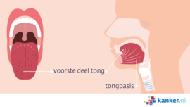 Afbeelding Het voorste deel van de tong en de tongbasis