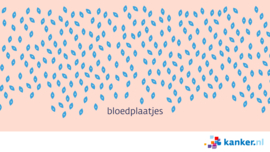 Afbeelding Bloedplaatjes