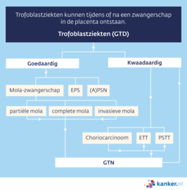 Trofoblastziekten