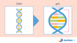 Afbeelding DNA en genen