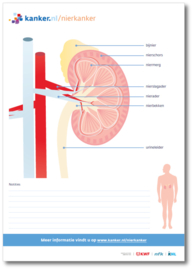 Tekenblok Nierkanker