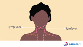 Afbeelding De lymfeklieren in de hals