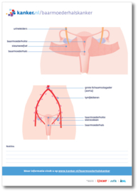 Tekenblok Baarmoederhalskanker