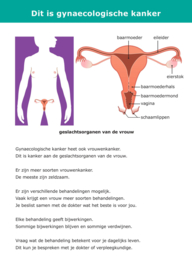 Olijf Praatkaart - Dit is gynaecologische kanker