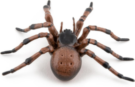 Spider  Papo 50292