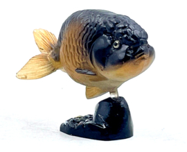 Black Ranchu goldfish  Furuta P30