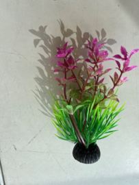 Waterplant D  paars