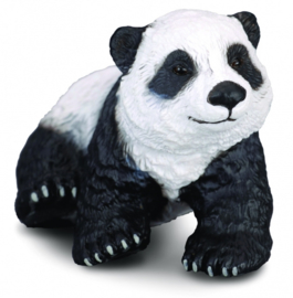 Reuzenpanda  jong zittend   CollectA 88219