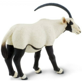 Oryx  Safari 284829