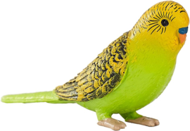 Budgerigar green Mojo 387262